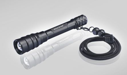 krait20main-1.jpg