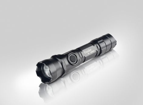 wf08_non-rechargeable.jpg